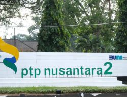 Haru Bahagia Pensiunan dan Ahli Waris Terima SHT PTPN2,