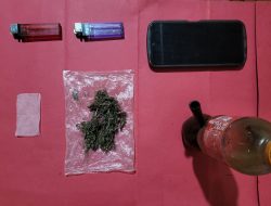 Dua Pelaku di Duga Pengedar Ganja Baharrudin Bersa Budi di Ringkus Sat Reskrim Polsek Indrapura Polres Batu Bara.