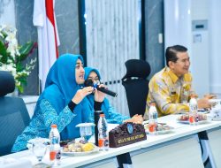 Ny. Maya Launching dan Sosialisasi Aplikasi e-Reporting PKK,