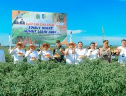Batu Bara Lumbung Cabai Merah, di Sumut, Pj. Gubsu Dukung Pembangunan Pabrik Pasta Cabai.