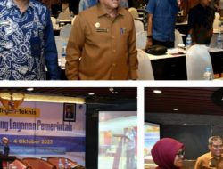 Terkait Satu Data Indonesia,Ilyas Sitorus Ingatkan Pentingnya Standarisasi Aplikasi,
