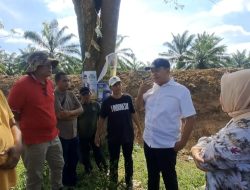Bupati Zahir Tinjau Galian Parit di Desa Lubuk Cuik