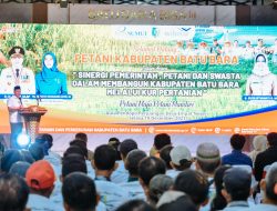 Petani Kerap Merugi, Bupati Batu Bara Berikan Solusi Untuk Para Petani