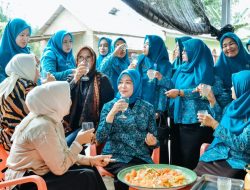 TP PKK Batu Bara Lakukan Pembinaan Aku Hatinya PKK di Desa Kwala Gunung