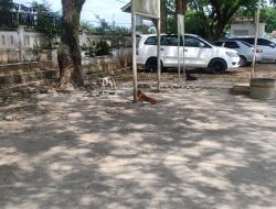 Pelihara Binatang & Area Kantor Yang Kumuh, Disperkim Lingkungan Hidup Batubara Memalukan..!