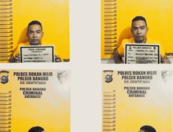 Polsek Bangko Melalui Kanit Reskrim Ringkus Kedua Banra Dan Kurir Sedang Berada Di Pondok Ladang.
