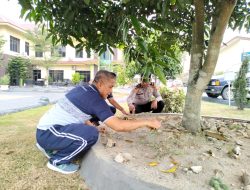 Jaga Kebersihan Mako Personil Polres Batu Bara Laksanakan Kurve.
