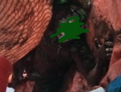 Rifan Wali Korban Hilang Diterkam Buaya di Sungai Waiapo Telah Ditemukan Dalam Keadaan Tewas.
