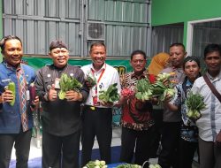 Pj Bupati Cilacap Dorong Manfaatkan Lahan Pekarangan jadi Lahan Produktif Guna Dukung Ketersediaan Stok Pangan