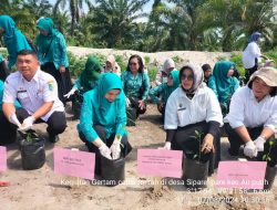 Tekan Laju Inflasi, Dinas Pertanian dan Perkebunan Lakukan Gertam Cabai Merah.
