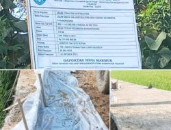 Pembangunan Jalan Usaha Tani Desa Cidadap Kecamatan Karang Pucung diduga Keras Tidak sesuai dengan Bistek