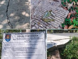 Baru 40 Hari selesai Pembangunan Jalan Usaha Tani Desa Pangawaren Karangpucung diduga sudah Mengalami  Kerusakan.