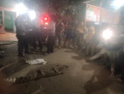 Di Temukan 1 Satu Ekor Buaya Di Parit Pembuangan Sungai Si Dalu Dalu..