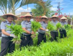 Dukung Program Ketahanan Pangan Lapas Labuhan Ruku Kanwil Kemenkumham Sumut Panen Sayur Kangkung