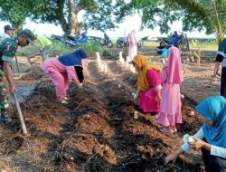 DUKUNG PROGRAM KETAHANAN PANGAN BABINSA KORAMIL 1311-06/BUNGKU UTARA DAMPINGI WARGA DESA BATURUBE TANAM CABAI.