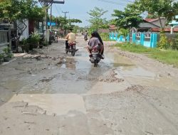 Dana desa tidak di peruntukan yang lebih prioritas demi mendapatkan keuntungan besar
