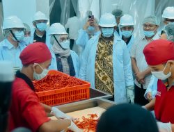 Wamen UMKM dan Pj. Bupati Batu Bara Resmikan Rumah Produksi Bersama untuk Tingkatkan Komoditas Cabai*