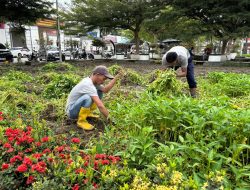 Panen 180 Kg Kangkung, Lapas Labuhan Ruku Dukung Program Ketahanan Pangan.