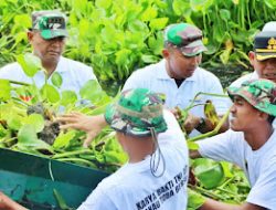 Dalam Rangka Menjaga Kebersihan Dan Keindahan Danau Toba, TNI AD Bersama Masyarakat Bergotong-Royong Membersihkan Eceng-Gondok