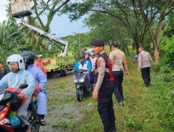 Atas Keperdulian Tim Samapta Polres Batu Bara Turun Bersihkan Pohon Kayu Yang Tumbang di Pinggir Jalan. di Desa Sumber Padi.