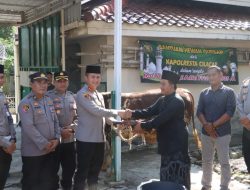 Sapi Kurban Seberat 700 Kg Diserahkan Kapolresta Cilacap ke Masjid Agung Darussalam*