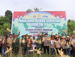 Polres Morowali Gelar Panen Jagung Kuartal II Dukung Swasembada Pangan 2025