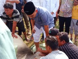 Bupati Simalungun Turun Langsung Menyembelih Hewan Kurban di Masjid Ilham Sigundaba.