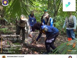 3 Monyet Ekor Panjang yang Resahkan Warga Dilepasliar di Hutan Nusakambangan