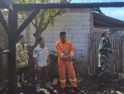 Dapur Milik Warga di Cilacap Kebakaran, Bangunan beserta 4 Sepeda dan 6 Ekor Ayam Ludes