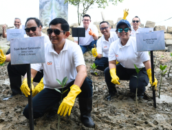INALUM Perkuat Strategi Dekarbonisasi melalui Restorasi Mangrove Bersama