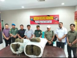 Personel Kodim 0207/Simalungun Temukan 47 Kg Ganja di Belakang Kampus USI, Diserahkan ke Kasatres Narkoba Polres Pematangsiantar