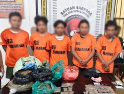 Polres Simalungun Bongkar Jaringan Narkoba 2,5 Kg Ganja di Kawasan Wisata Danau Toba