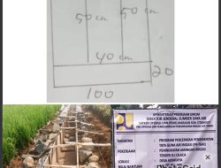 Pekerjaan Peningkatan Jaringan Irigasi Yang di Kerjakan P3A Tirta Sarat Mulia Diduga Keras Tidak Sesuai Spesipikasi