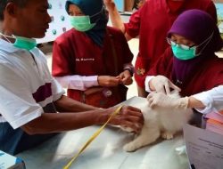 Dinas Pertanian Cilacap Kembali Gelar Vaksinasi Rabies, Simak Tanggalnya!