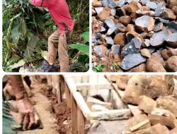 Beranikah Kajari Cilacap Periksa Pekerjaan P3A Sekar Mukti Diduga Mengunakan Batu Ilegal