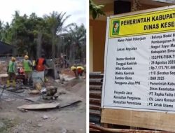 Tanaman Produktif Rusak di Kebun Tinjowan PTPN IV Regional II Diduga Karena Tidak Dirawat