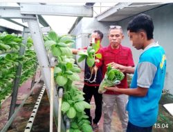 Hasilkan Panen Berkelanjutan, Rutan Ambon Terus Konsisten Dukung Ketahanan Pangan