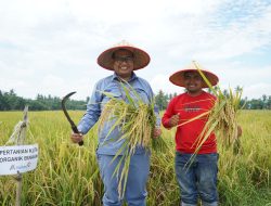 INALUM Dukung Pertanian Berkelanjutan Lewat Penerapan Metode Tani Nusantara di Kuala Tanjung