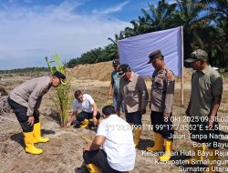 Dukung Ketahanan Pangan Polsek Tanah Jawa Tanam 50 Hektare Jagung di Lahan PTPN IV, Kebun Dolok Sinumbah.
