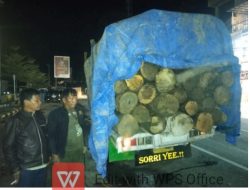 Gakkum Kehutanan Wilayah Sumatera Gagalkan Peredaran Kayu Hasil Hutan Ilegal di Jalan Lintas Medan-Parapat Kab.Simalungun Provinsi Sumatera Utara*