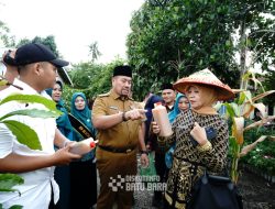 Bupati Batu Bara Dukung Program AKU HATINYA PKK, Janjikan Bantuan Bibit Melalui BUMDes