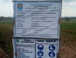 RP JIT KT Tunggal Jaya Desa Jenang Kecamatan Majenang di Kerjakan CV.Cerme Indah diduga Tabrak Aturan