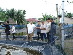 Bupati Batu Bara Meninjau Tambak Udang Vaname “Bahagia Mandiri”