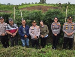 Polsek Saribudolok Sambut Kunjungan Kapolres dan Ketua Bhayangkari Simalungun, Tinju Lahan Pertanian Warga di Nagori Siboras