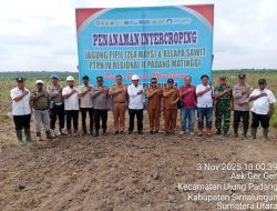Polsek Bosar Maligas Kawal Tanam Perdana Jagung di PTPN IV, Dukung Program Ketahanan Pangan . 