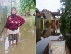 Banjir di Desa Pahonjean Cilacap, Ratusan KK Terdampak