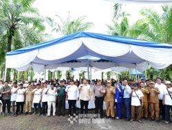 Penguatan Ketahanan Pangan Daerah, Bupati Baharuddin Bersama Gubsu Bobby Laksanakan Gerakan Tanam Cabai Bersama*
