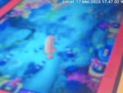 Perjudian Berkedok Tembak Ikan Marak di Saribudolok hingga Haranggaol, Warga Minta Polsek Bertindak Tegas*