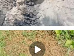 Normalisasi Sungai di Datuk Lima Puluh Diduga Sarat Pelanggaran: Tanpa Plank Proyek, Anggaran APBD Tak Transparan