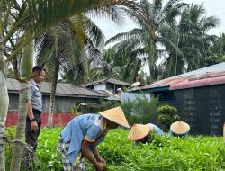 Lapas Batu Bara Panen Kangkung 150 Kg Kembali Menunjukan Komitmen Dalam Mendukung Program Ketahan Pangan.